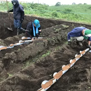 自然薯植え！【キッチンブレス日記】のサムネイル