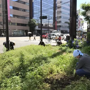 カナンの精鋭たち！【キッチンブレス日記】のサムネイル