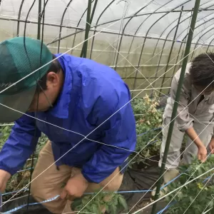 がんばれ実習生【キッチン・ブレスNEWS】のサムネイル