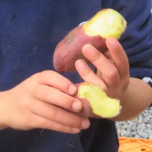 焼き芋うまい！【キッチン・ブレスNEWS】のサムネイル