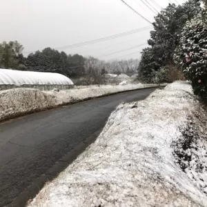 うっすら雪景色【キッチン・ブレスBLOG】のサムネイル