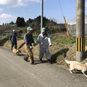 お散歩日和【キッチン・ブレス日記】のサムネイル