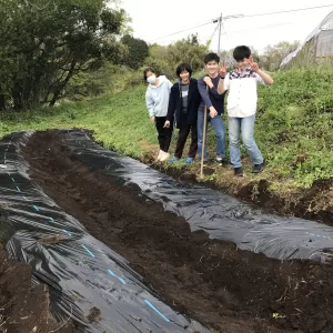 野菜を植える【キッチン・ブレス日記】のサムネイル