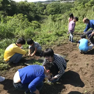 野菜作り第２弾【キッチン・ブレスNEWS】のサムネイル