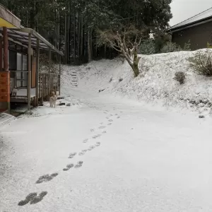 キビシイ寒暖差！　２月の天気。のサムネイル